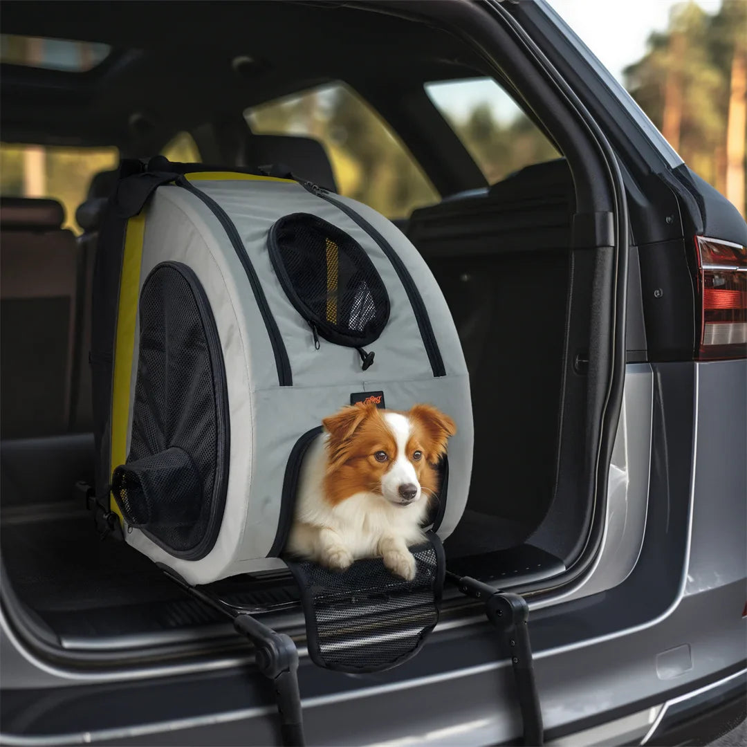 2 in 1 Portable Pet Travel Stroller Pushchair Car Seat Travel Carrier Detachable Handle Convertible for Small Dogs Cats