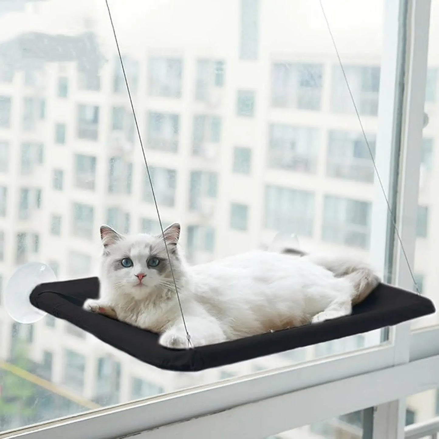 Cat Window Hammock Cat Safety Sunny Bed with Durable Heavy Duty Suction Cups Cats Sleeping Space Saving Window Mounted Cat Bed