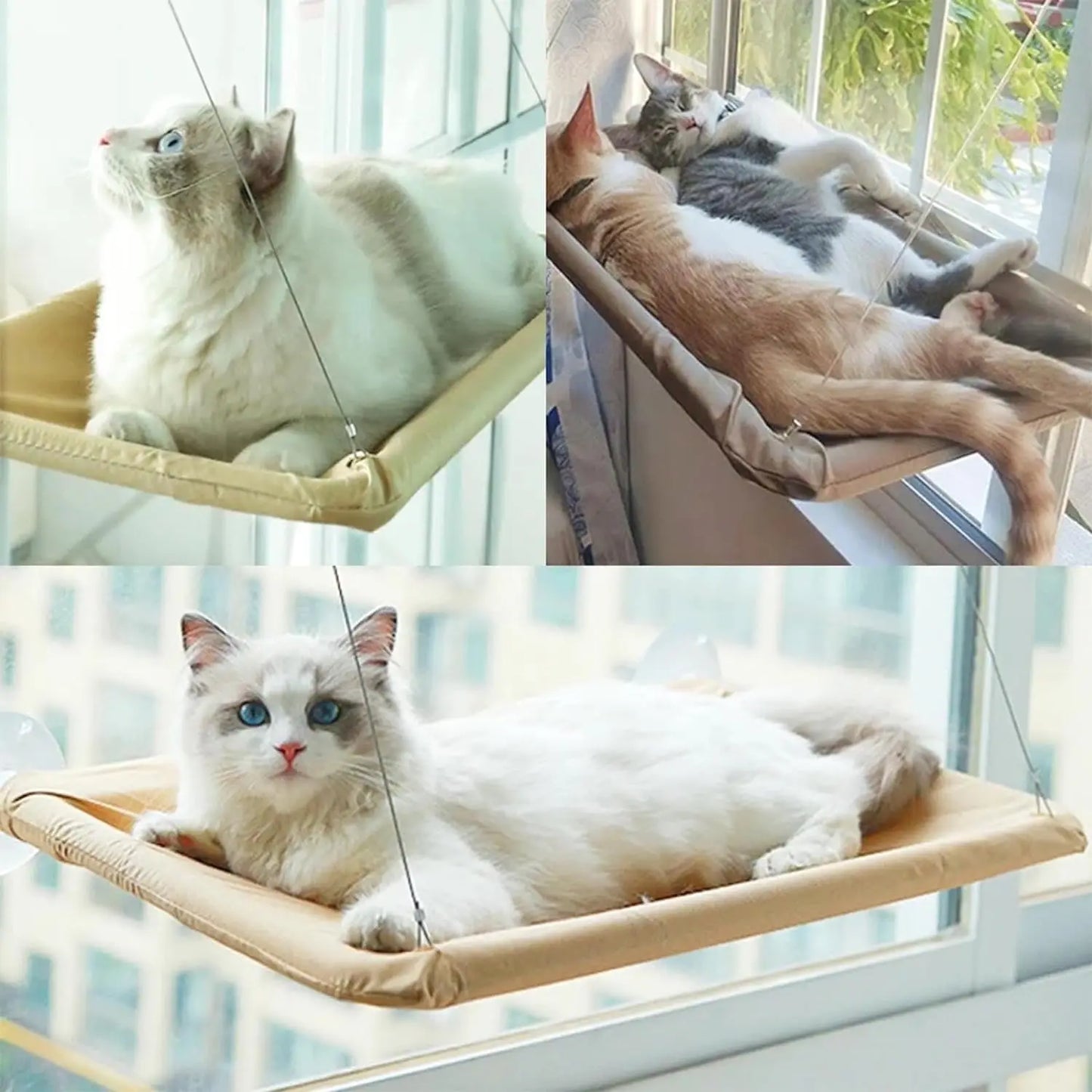 Cat Window Hammock Cat Safety Sunny Bed with Durable Heavy Duty Suction Cups Cats Sleeping Space Saving Window Mounted Cat Bed