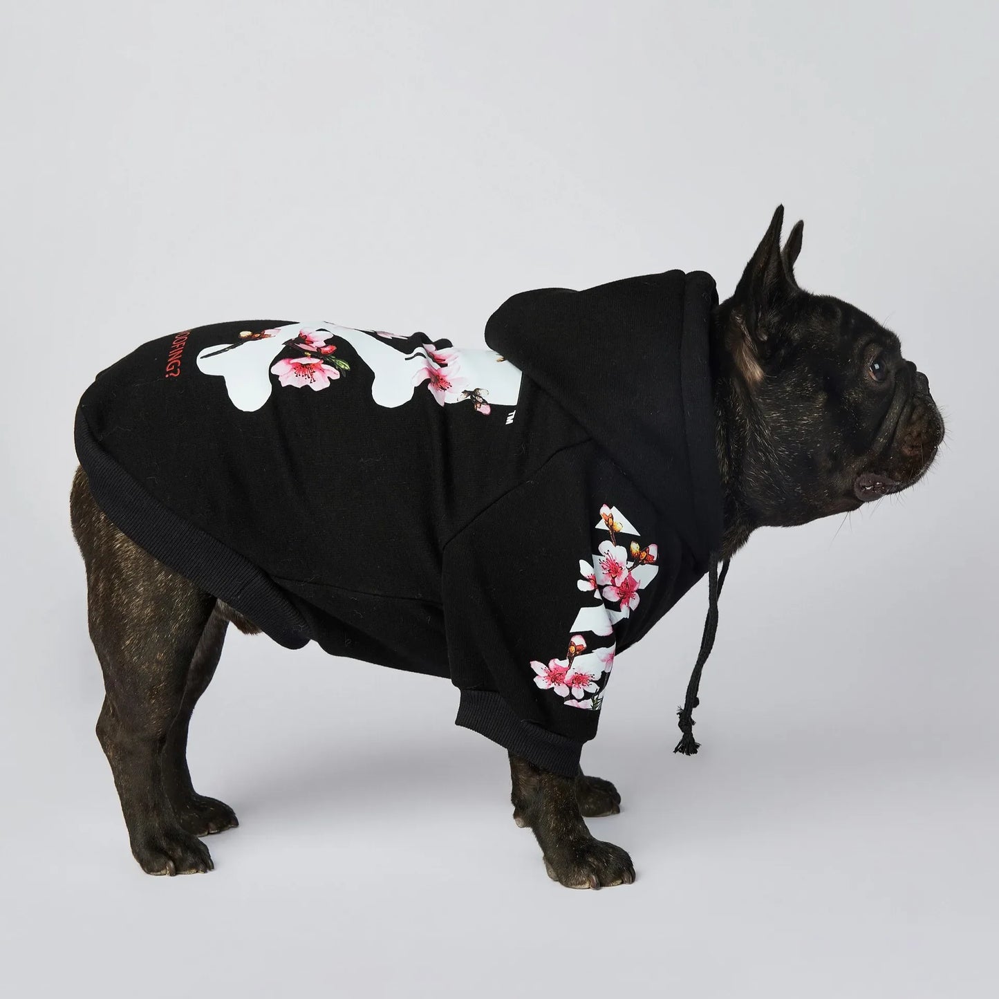 Fashion Sakura Dog Jacket Popular Trend Brand Ins Pet Dog Hoodies Winter French Bulldog Pugs Sports Dog Clothes M-4XL